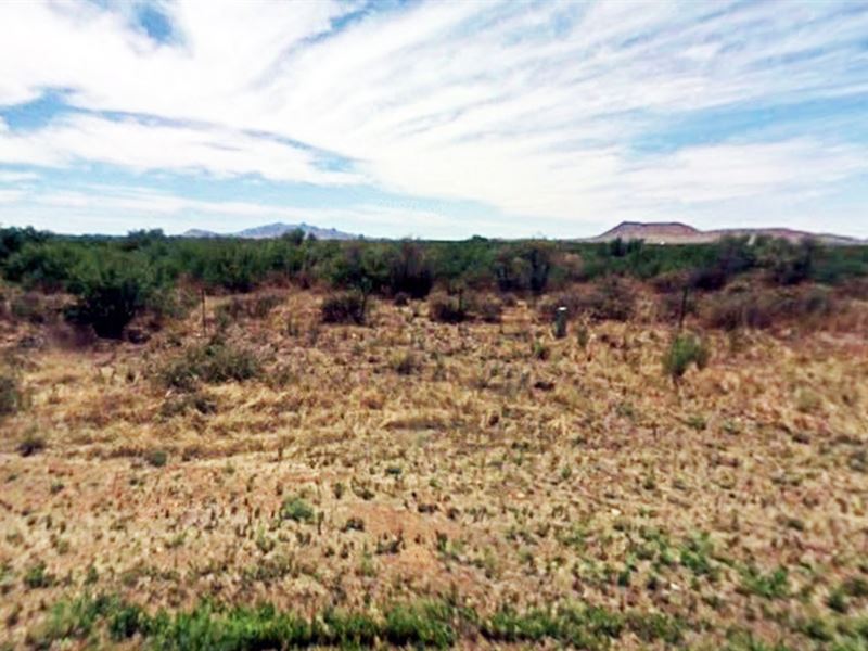 Five Acres in Cochise County : Sunizona : Cochise County : Arizona