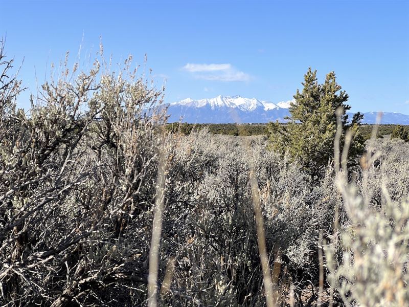 Connected Lots in Wild Horse Mesa : San Luis : Costilla County : Colorado