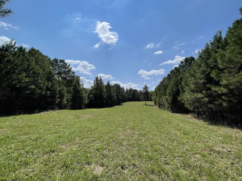 McGuire's Chapel Tract : Daviston : Tallapoosa County : Alabama