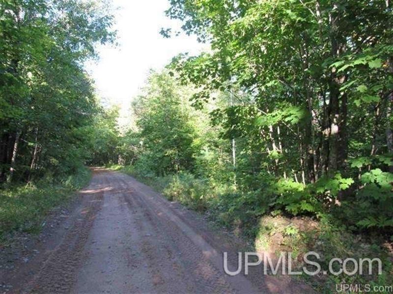 MI Wooded Recreational 80 Acres, Farm for Sale in Michigan, 332903