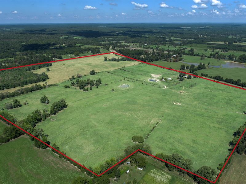 158 Acres, Upshur County, Texas : Gilmer : Upshur County : Texas