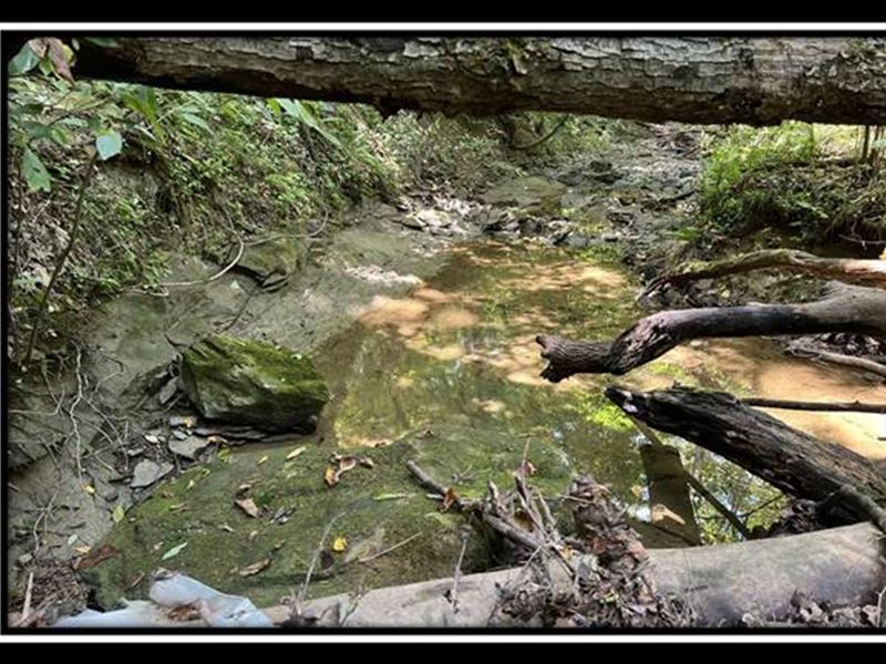 Tract 9, The Woods at Buck Run, Farm for Sale in Ohio, 333037 FARMFLIP