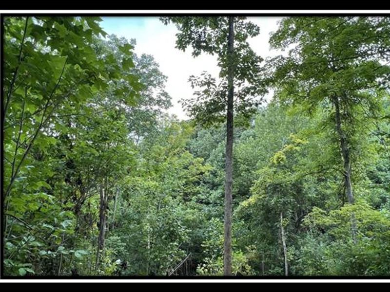 828 Whetstone Road, Farm for Sale in Ohio, 333054 FARMFLIP