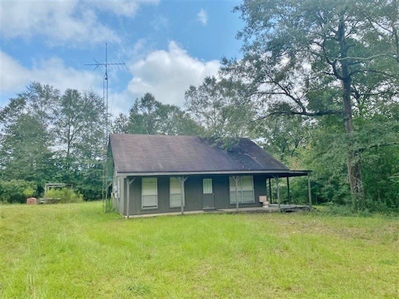 Cabin & 112 Wooded Acres On Bog : Tylertown : Walthall County : Mississippi