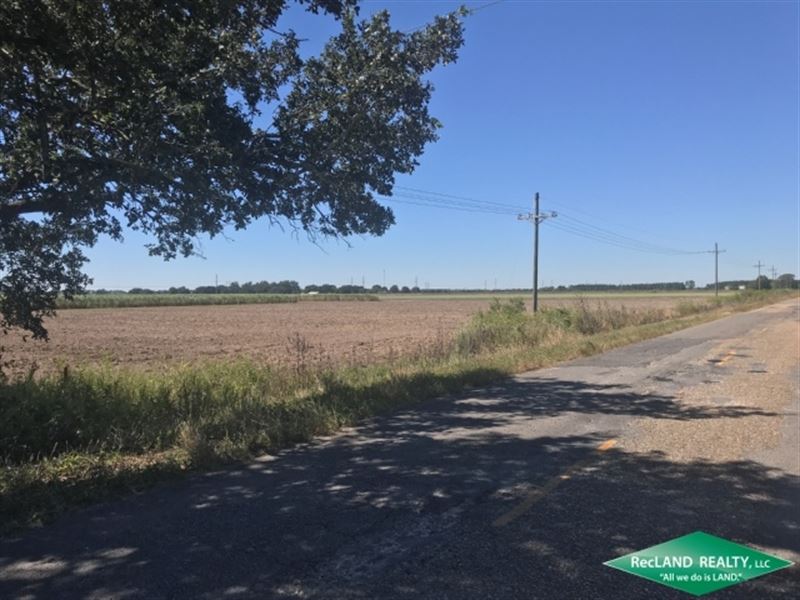 57 Ac, Sugar Cane Farm with Home : Rayne : Acadia Parish : Louisiana