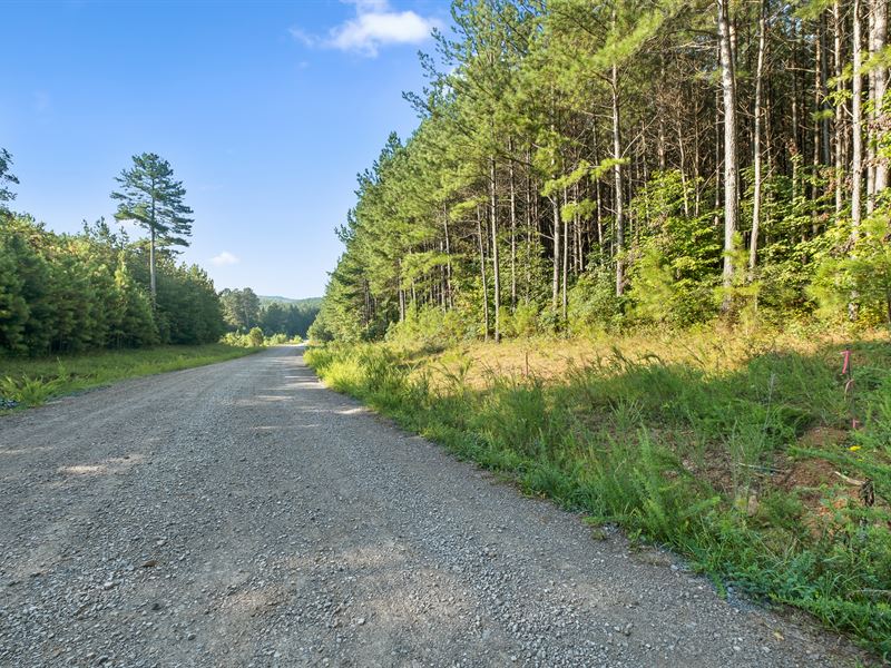 Private Signal Mountain Land : Signal Mountain : Sequatchie County : Tennessee