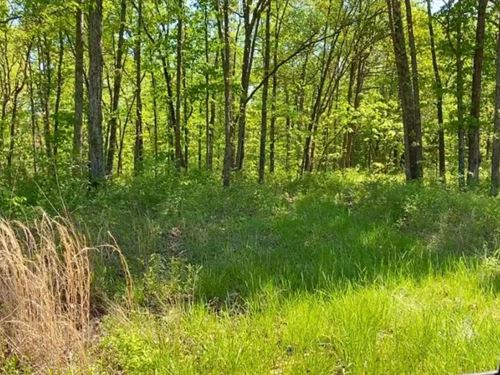 Owner Financed 10 Acres : Macks Creek : Camden County : Missouri