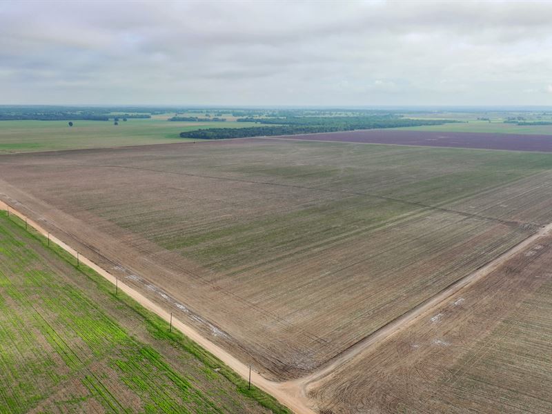 Great 89.23 Acres in Milam County : Cameron : Milam County : Texas