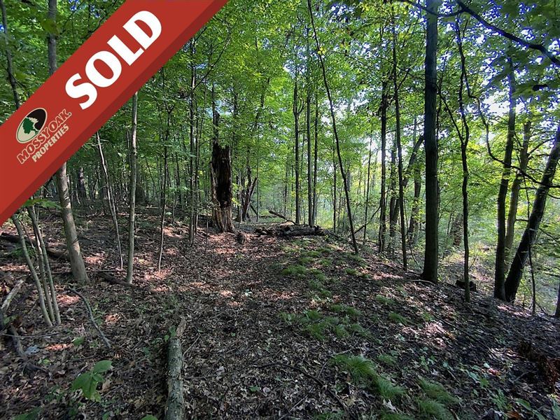 East High, 9 Acres, Columbiana Co : Leetonia : Columbiana County : Ohio