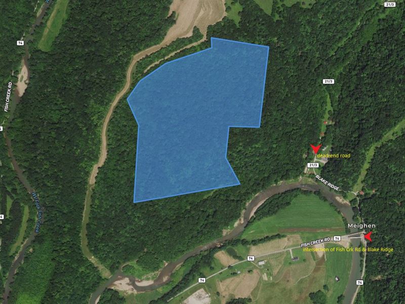 Beautiful Wooded Hilly Farm Land, Farm for Sale in West Virginia