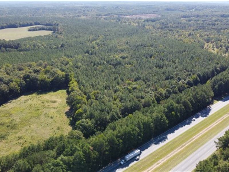Timber, Hunting, Homesite Property : Blackstock : Chester County : South Carolina