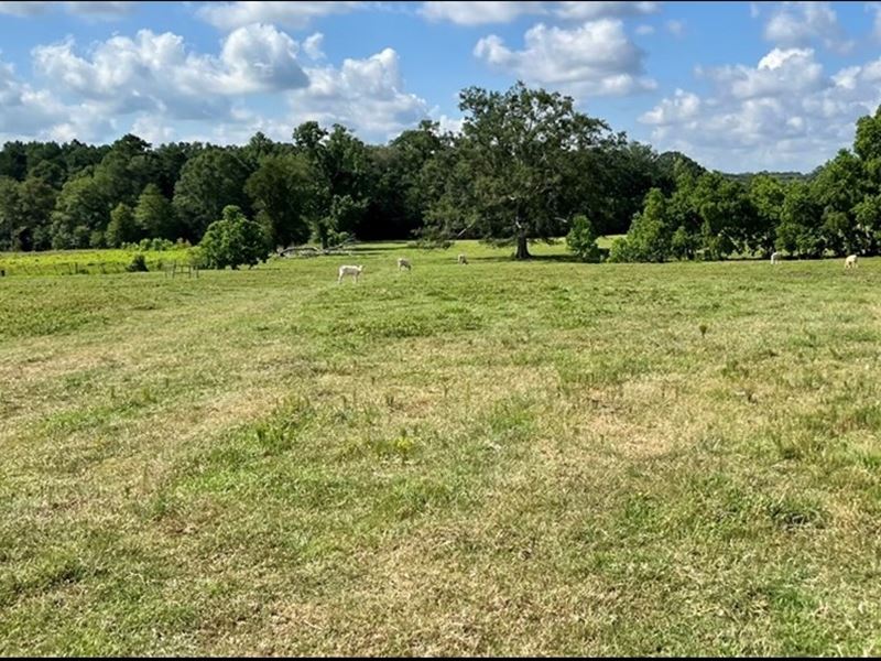 34.28 Acres in Lincoln County in Bo : Bogue Chitto : Lincoln County : Mississippi