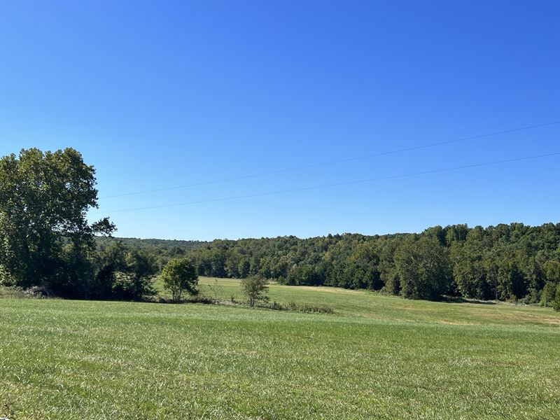 Missouri Farm Land, Live Water : Mountain Grove : Wright County : Missouri