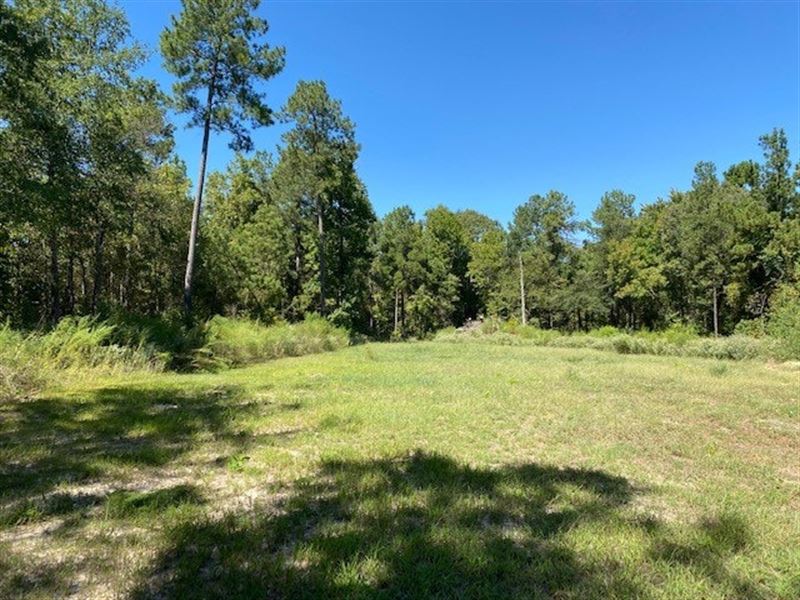 Fern Woods Farm for Sale in Nacogdoches, Nacogdoches County, Texas