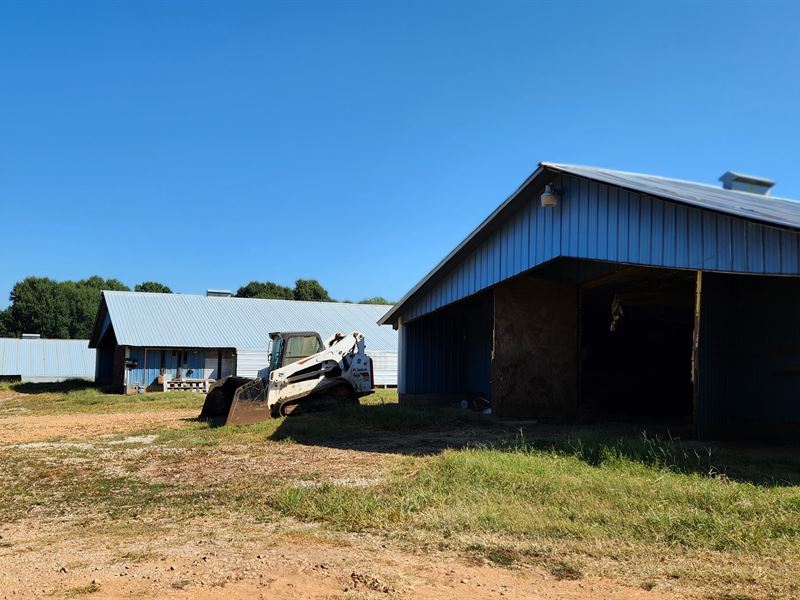 7 Pullet Houses Chicken Farm, Farm for Sale in 333530 FARMFLIP