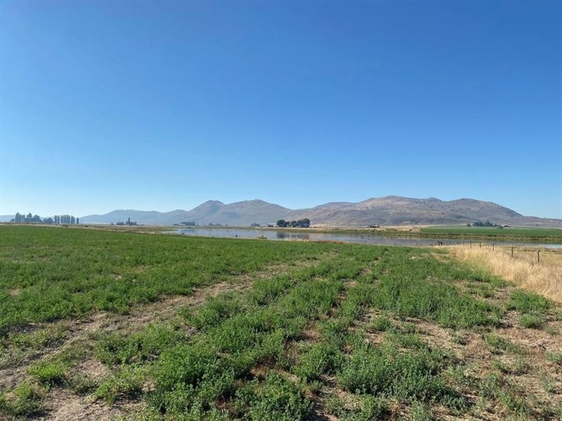 Klamath County AG Land : Klamath Falls : Klamath County : Oregon