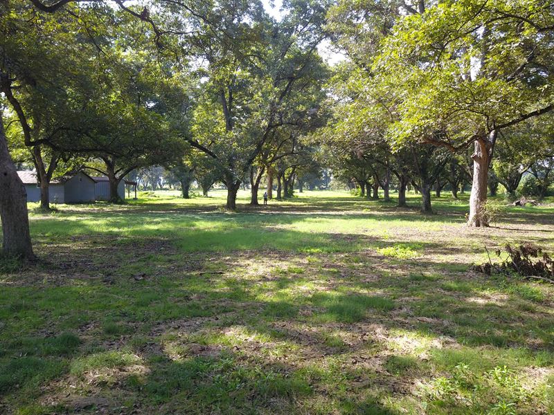 Absolute Auction in East Arkansas, Farm Auction in Arkansas, 333548