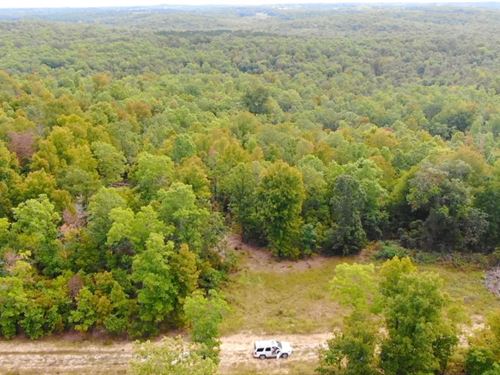 Owner Financed Land in MO : West Plains : Howell County : Missouri