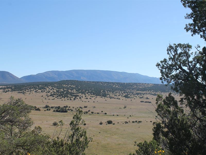 Capitan Mountain Ranch Land : Capitan : Lincoln County : New Mexico