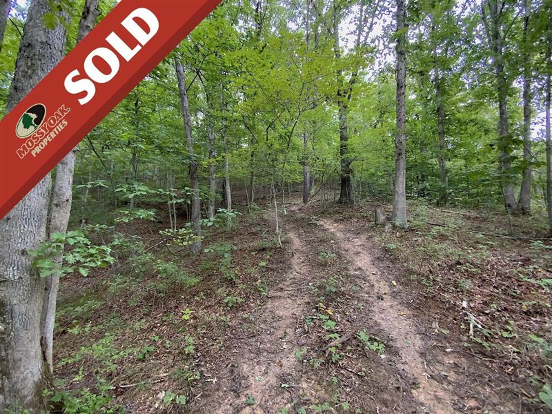 Deloss Creek Rd, 31 Acres, Lawren : Kitts Hill : Lawrence County : Ohio