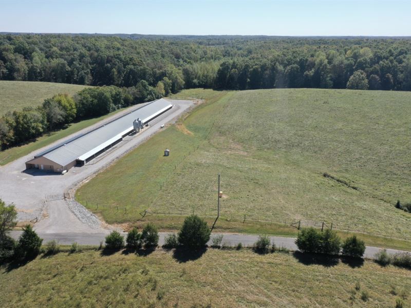 Prince Ggp Breeder Farm : Lawrenceburg : Lawrence County : Tennessee