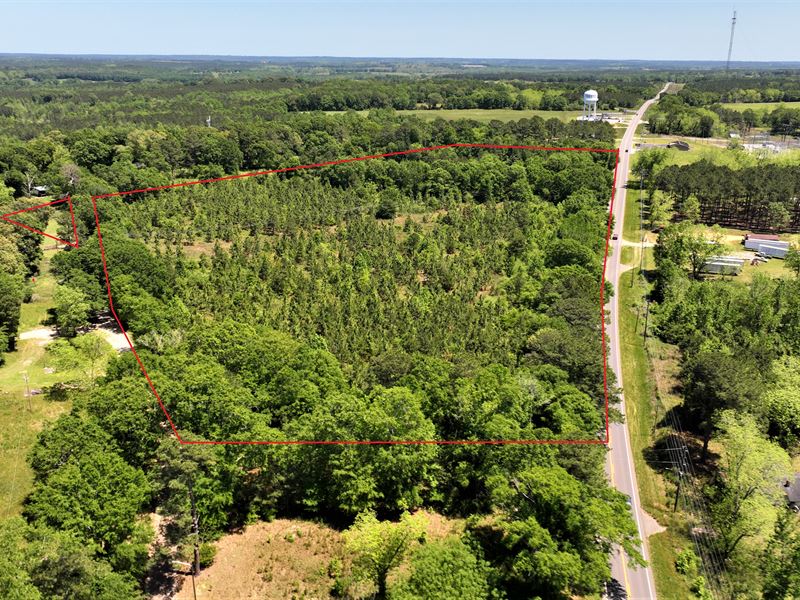 15 Acres Investor's Dream, Clio, AL, Farm for Sale by Owner in Alabama