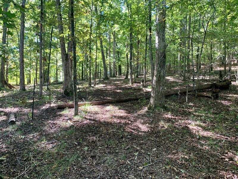 18 Ac Rome, GA : Rome : Floyd County : Georgia