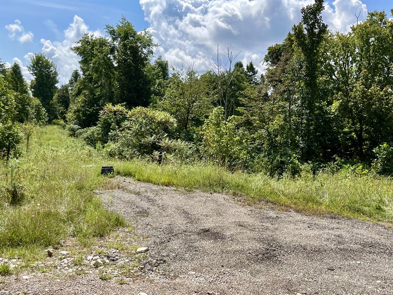 45 Acre Ohio Hunting Property : Lowell : Washington County : Ohio