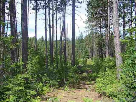 Tbd Off Pike Lake Rd Mls 1044416 : Chassell : Houghton County : Michigan