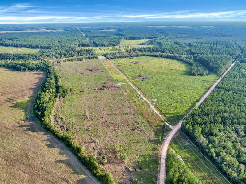 100 Acres in Odum, GA : Odum : Wayne County : Georgia
