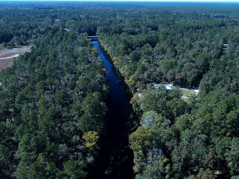 Creek Front Property with Home Site : Burgaw : Pender County : North Carolina
