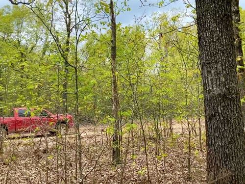 Owner Financed Acreage in Missouri : Lebanon : Laclede County : Missouri