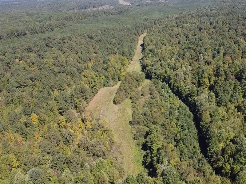 Hayes Branch Retreat : Bolivar : Hardeman County : Tennessee