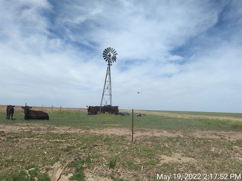 Lenora Moreland Quarters, Farm Auction in Kansas, 334417 FARMFLIP