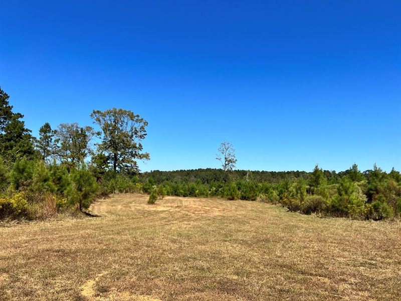 398 Ac M/L Hwy 48, Centreville, MS : Centreville : Amite County : Mississippi