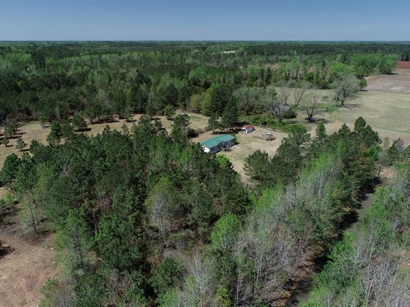 Wooded Property with Home Site : Fairmont : Robeson County : North Carolina