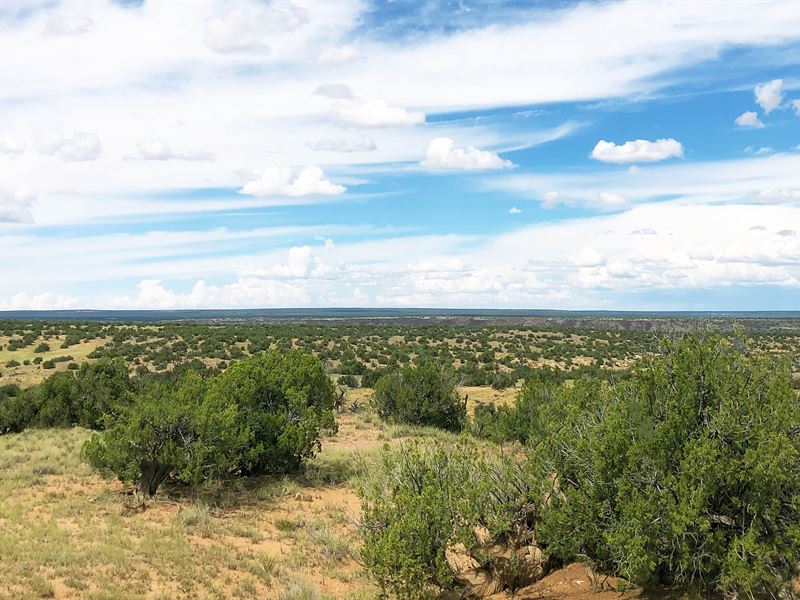 Wilderness Ranch with Greenhouse : Saint Johns : Apache County : Arizona