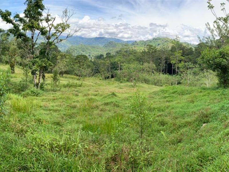 Off The Grid, 13 Acre Farm : Siquires De Turrialba : Costa Rica