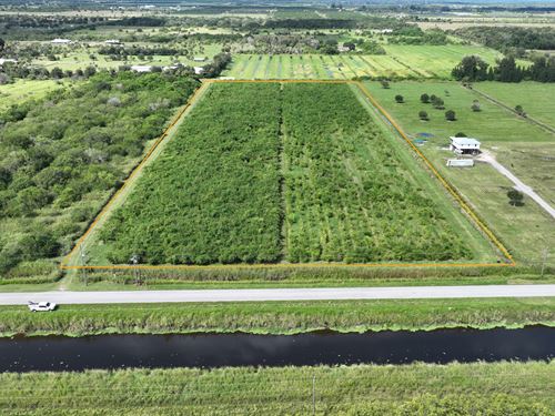 Ft Pierce Rural Ranchettes, 12 AC : Fort Pierce : Saint Lucie County : Florida