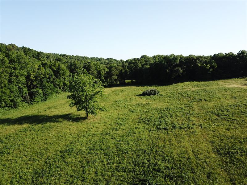 Whitetail Valley 81 : Saint James : Phelps County : Missouri