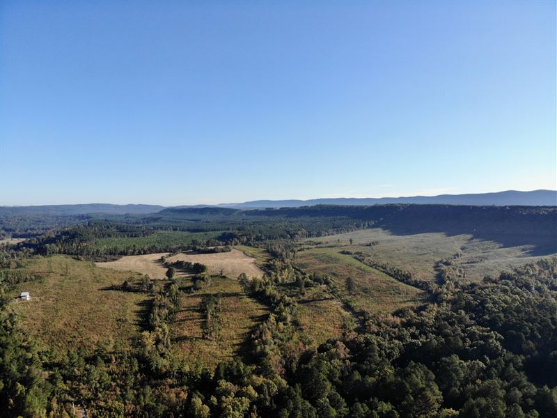 290 Ac Chattooga County : Summerville : Chattooga County : Georgia