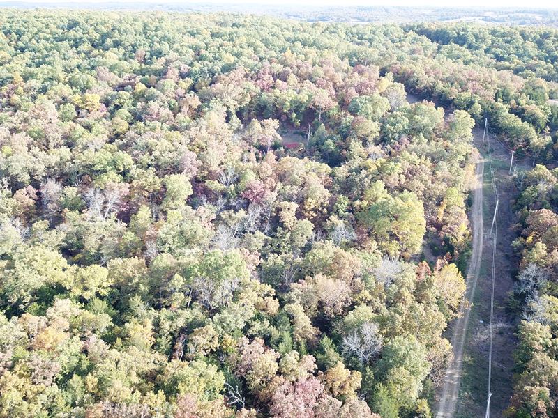 Camden County 20 Off The Grid : Richland : Camden County : Missouri