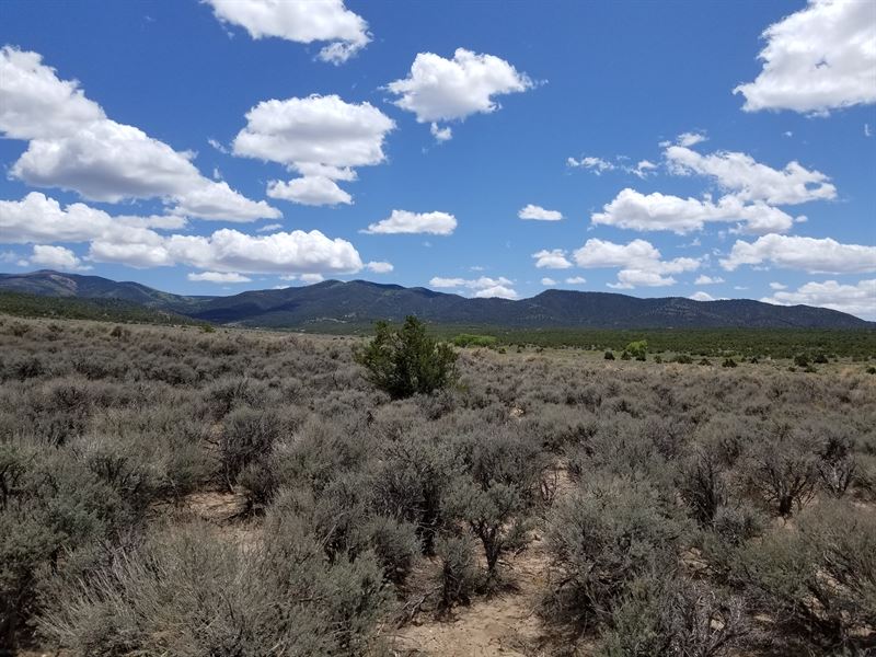 Off Grid Land From $500 Down : Fort Garland : Costilla County : Colorado
