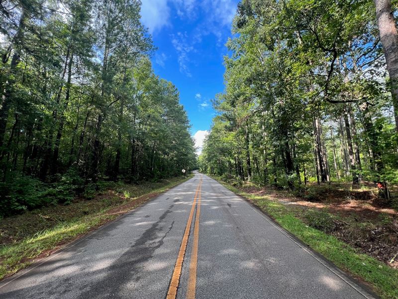 Old Alabama Rd Tract, Farm for Sale in 334990 FARMFLIP