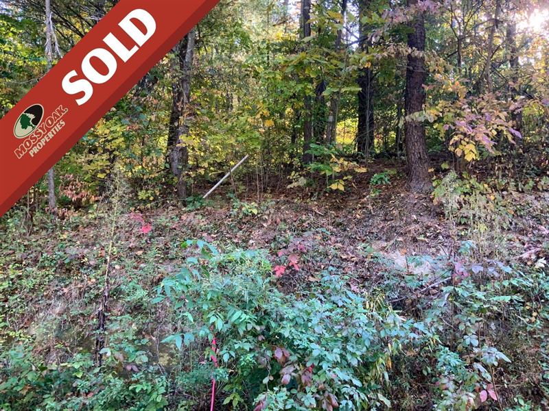 SR 325, 16 Acres, Gallia County : Vinton : Gallia County : Ohio
