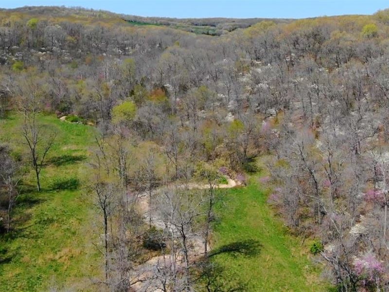 Owner Financed Acreage in MO, Farm for Sale by Owner in Missouri