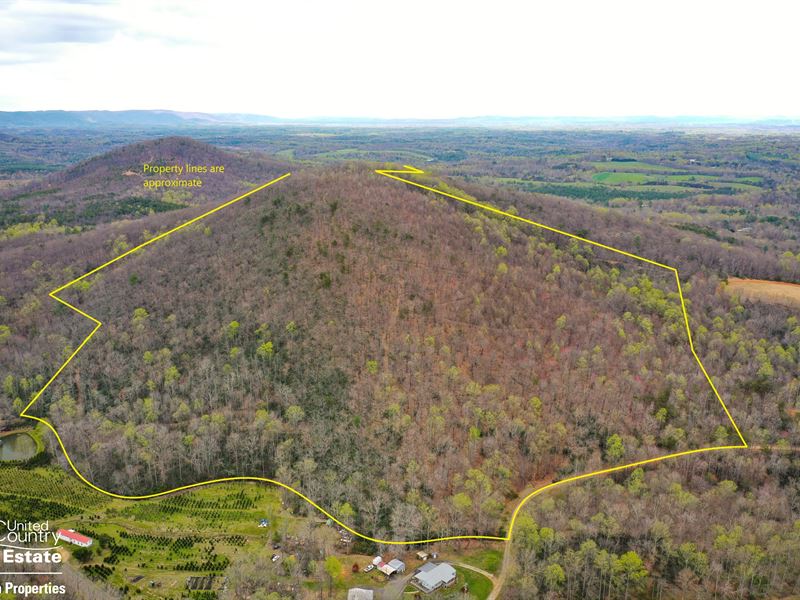 Mountain Property for Sale, Farm for Sale in North Carolina, 335330