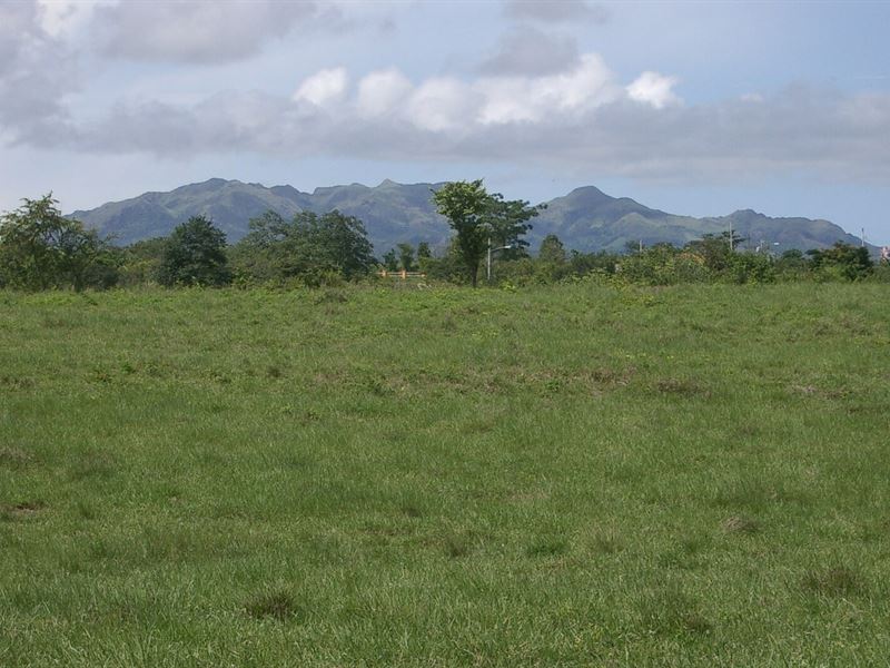 Ocean and Mountain View Property, Farm for Sale in Panama, 335332