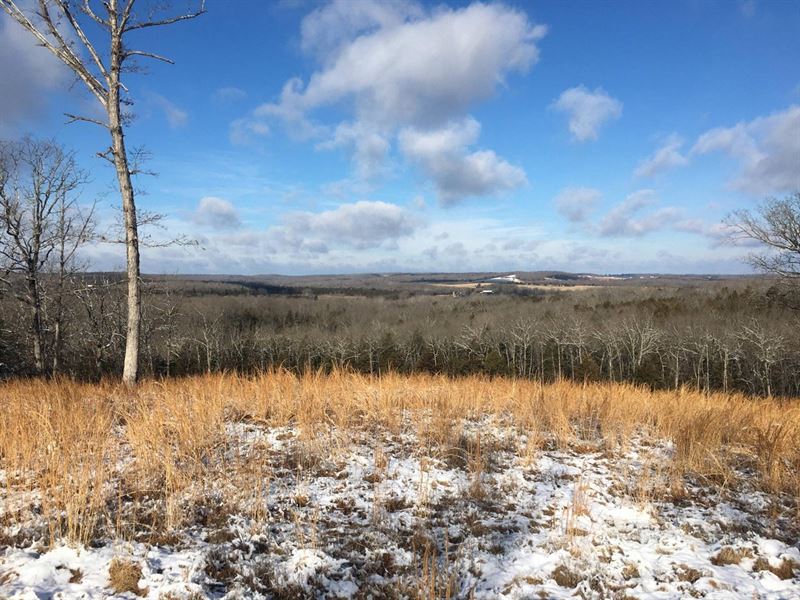 Country View : Stoutland : Laclede County : Missouri