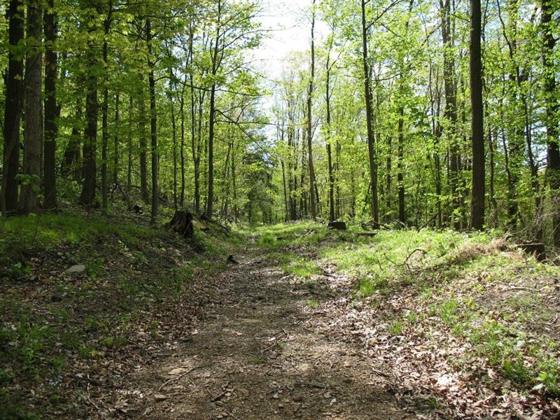 Indian Mill, Farm for Sale in Pennsylvania, 335531 FARMFLIP